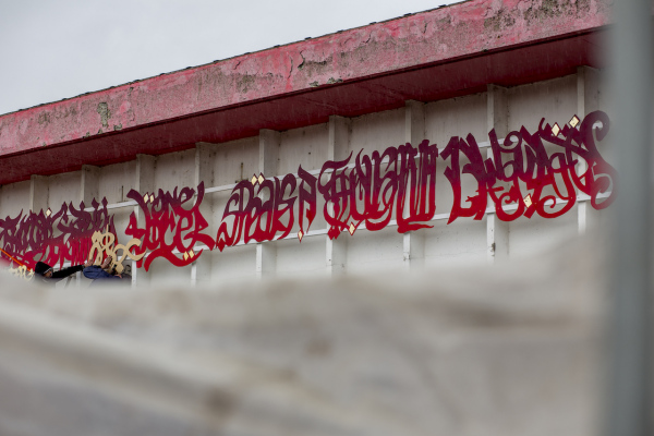 (c) Siege Dehing